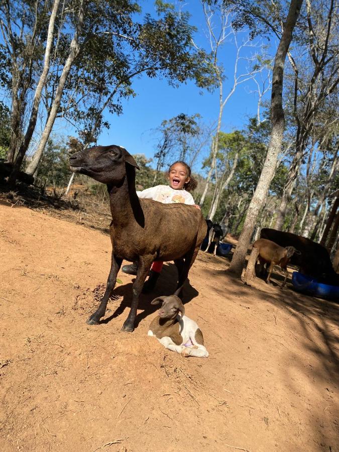 Hotel Fazenda Minas Real Simão Pereira Eksteriør bilde