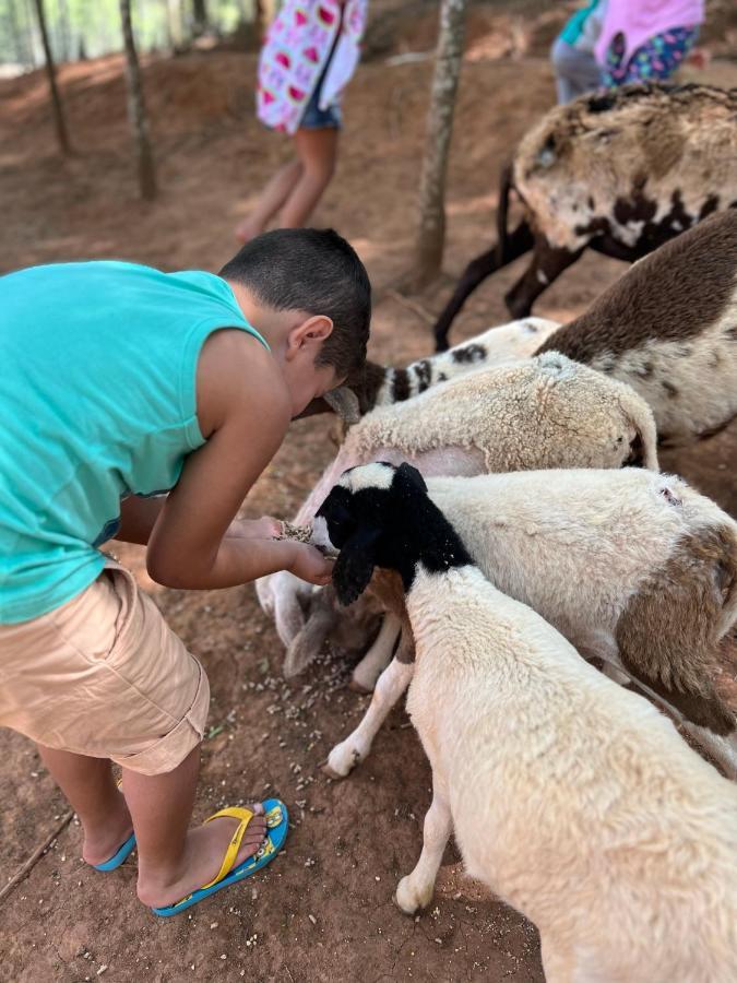 Hotel Fazenda Minas Real Simão Pereira Eksteriør bilde